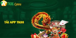 Hướng dẫn tải app KT88