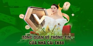 Tổng quan các dịch vụ mà Tk88 cung cấp